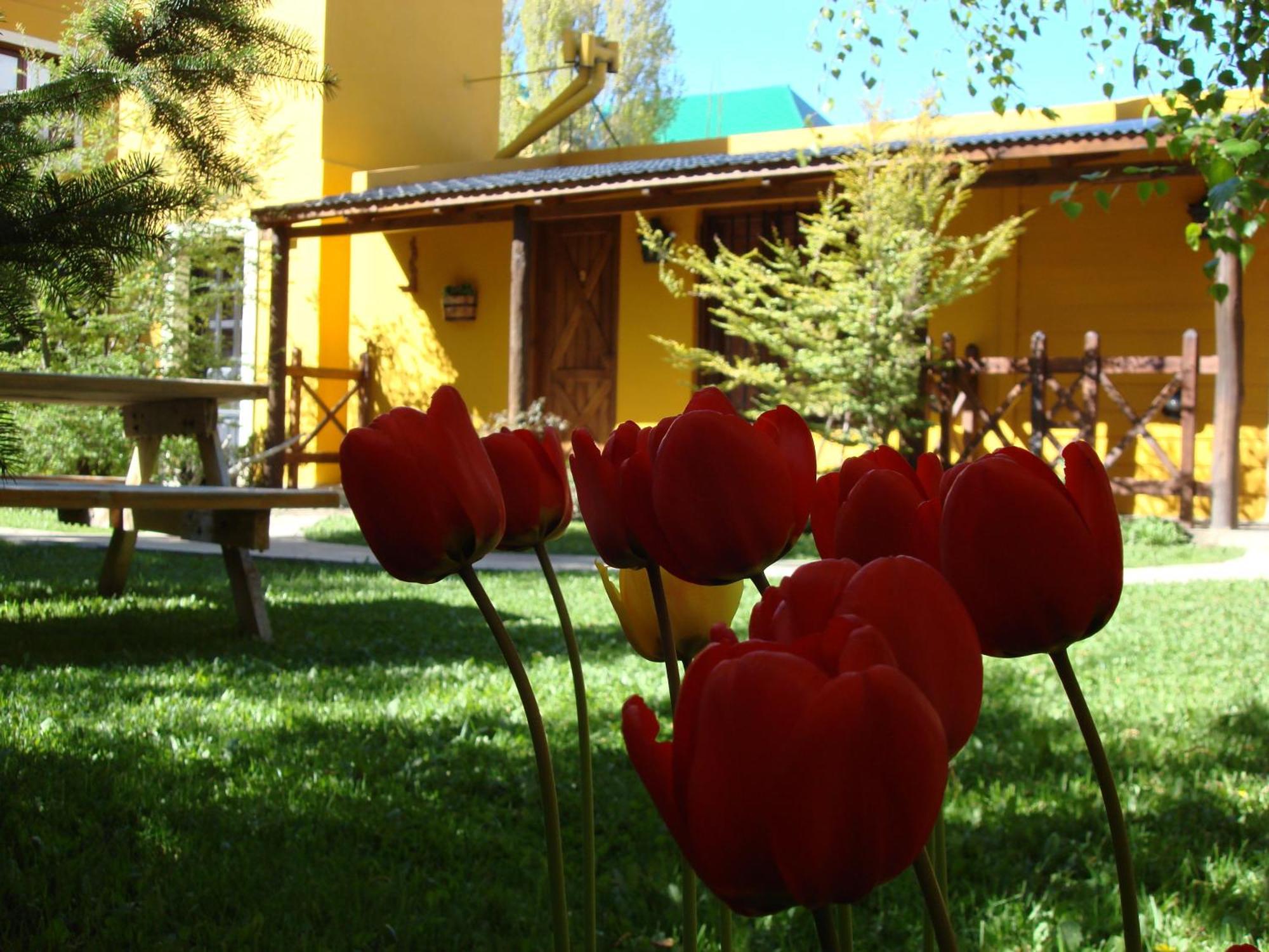 Kau Kaleshen Hotel El Calafate Ngoại thất bức ảnh